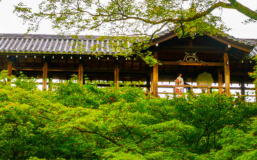 Kyoto #42: 東福寺【Tofuku-Ji Temple】
